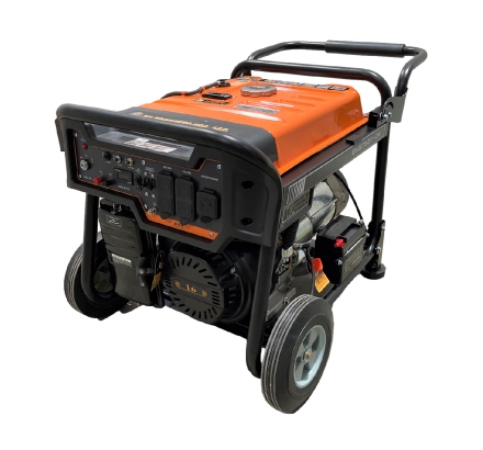 BNG7500-D4 Gas Power Generator